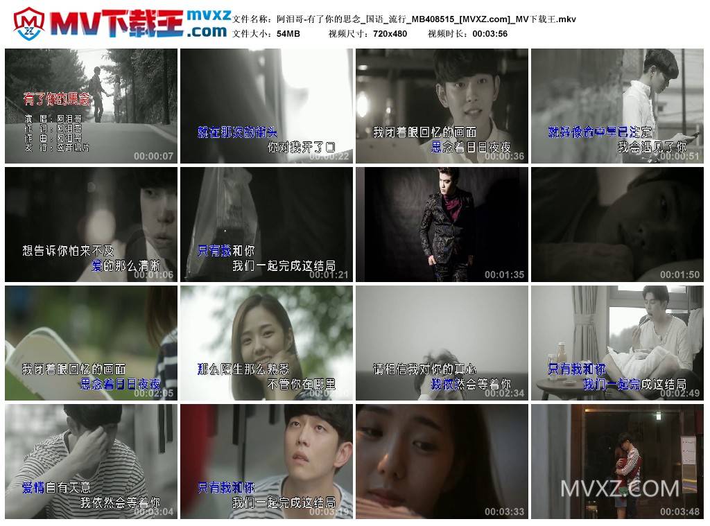 阿泪哥-有了你的思念_国语_流行_MB408515